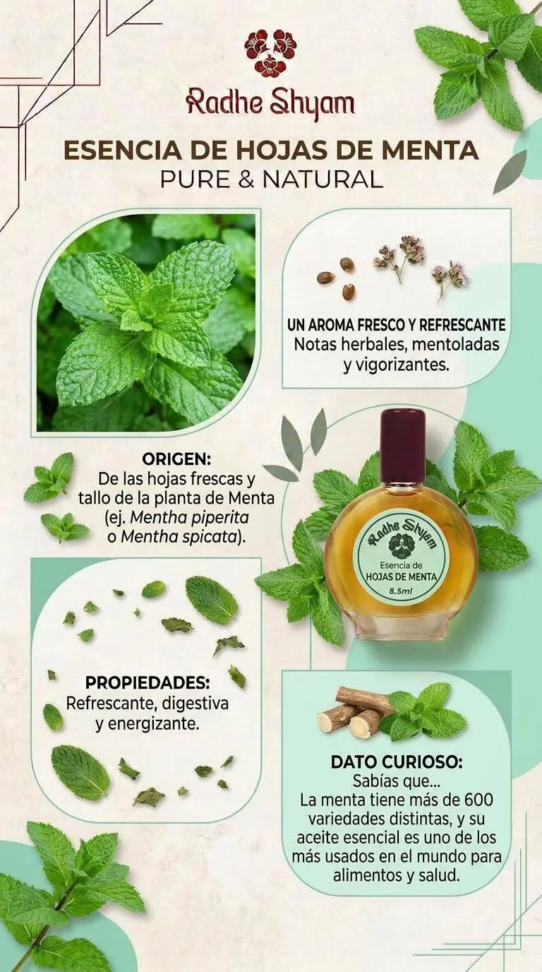 Radhe Shyam Essence Feuilles de Menthe