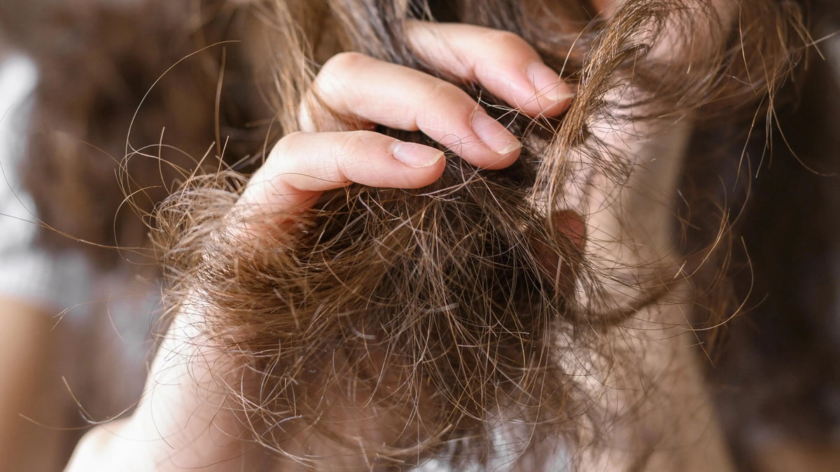 Recupera tu cabello después del verano de forma natural Radhe Shyam