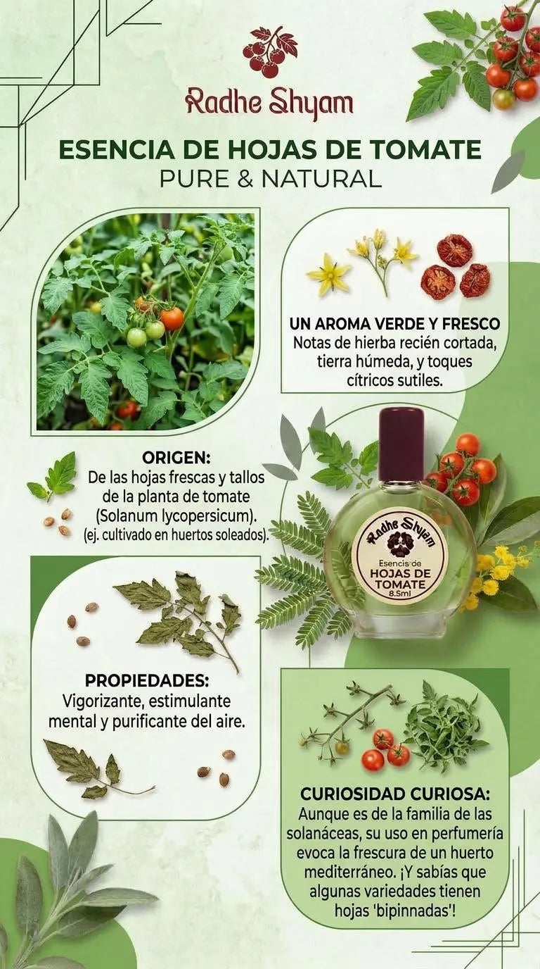 Esencia Radhe Shyam Hojas De Tomate