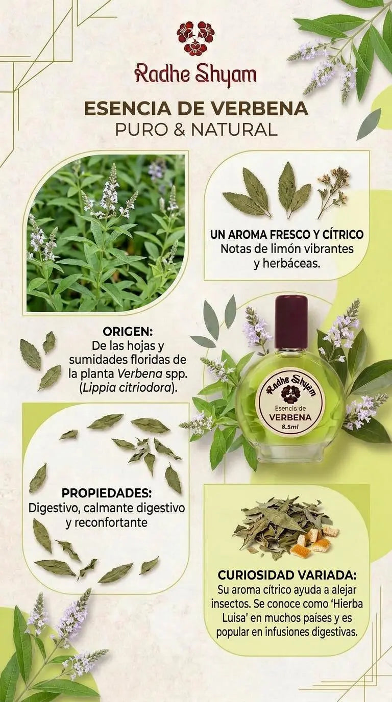 Esencia Radhe Shyam Verbena