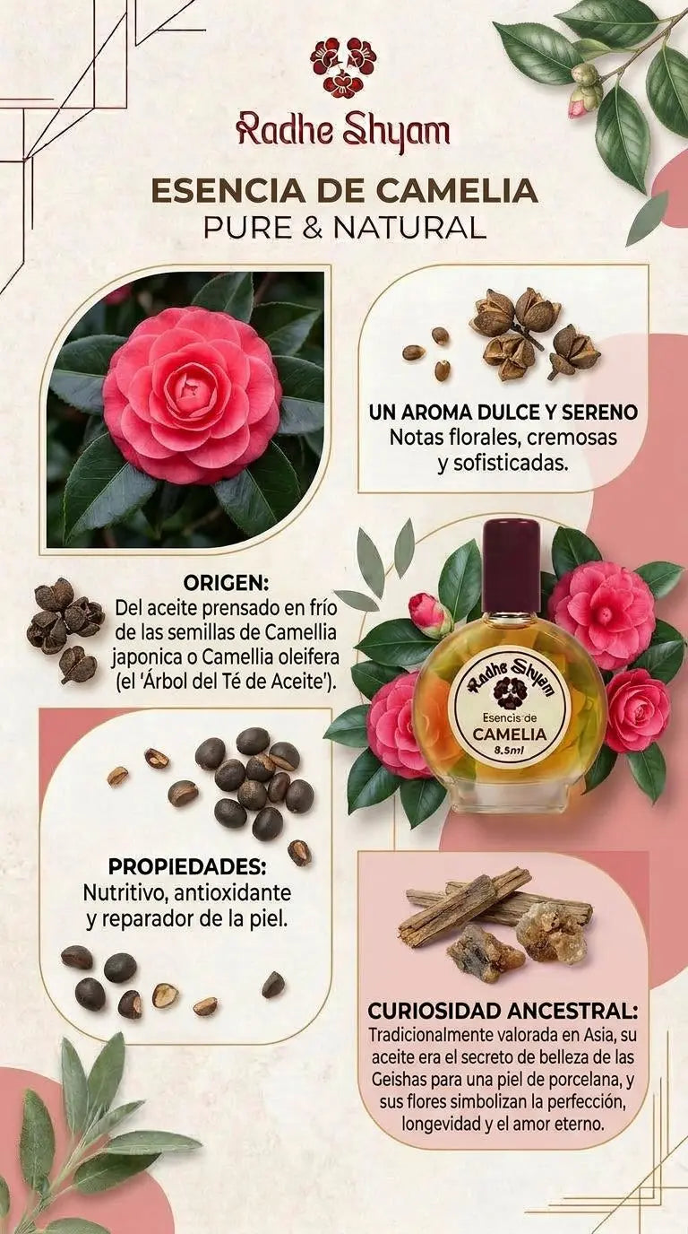 Esencia Radhe Shyam Camelia