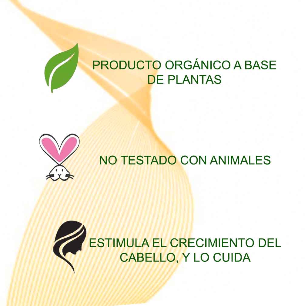 Curcuma Tratamiento Ayurvedico Radhe Shyam